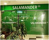  "Salamander".  .  . -, -.